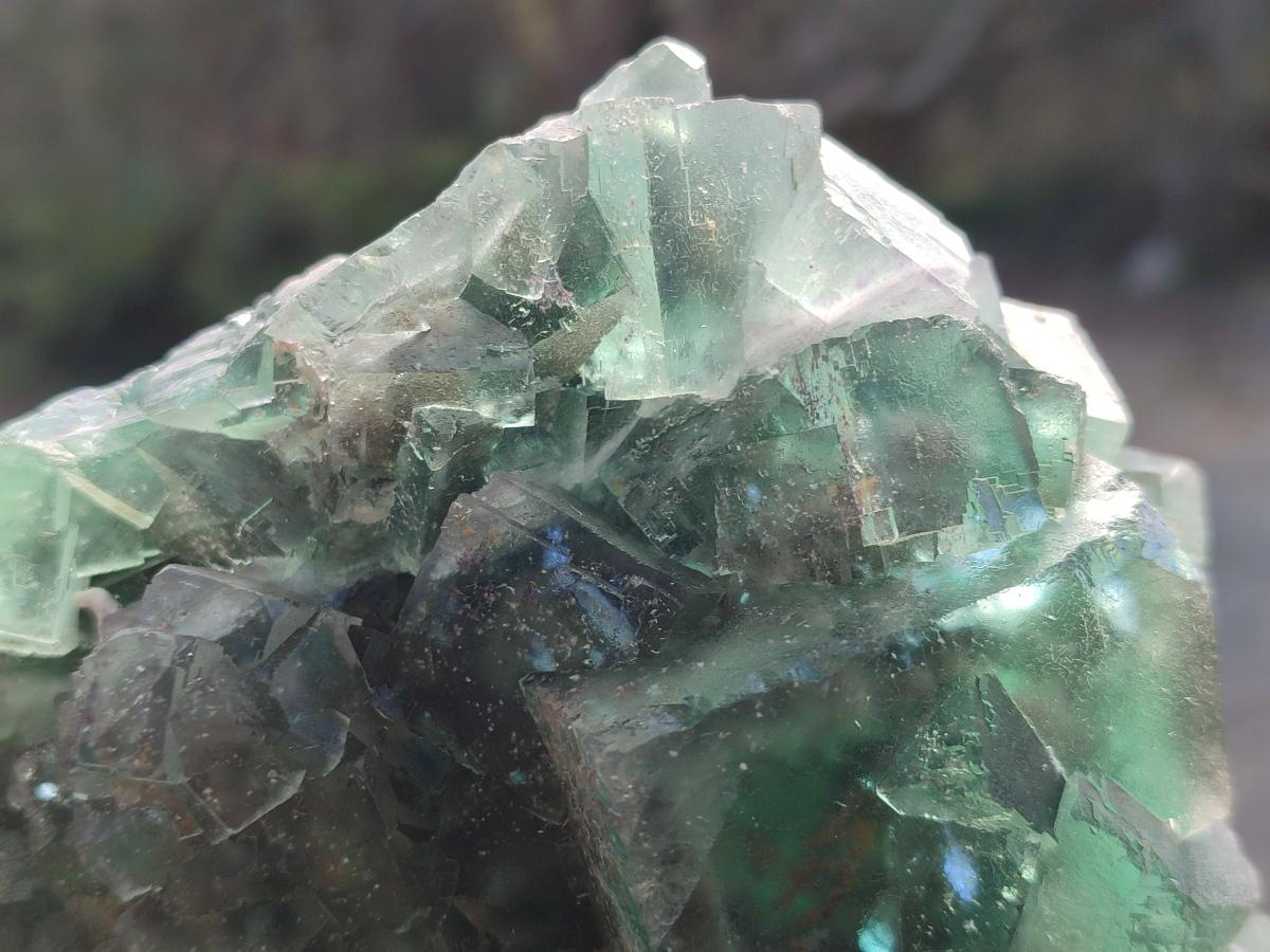 Natural Large Dark Green Cubic Fluorite Specimen x 1 From Okorusu Mine, Namibia - Toprock Gemstones and Minerals 