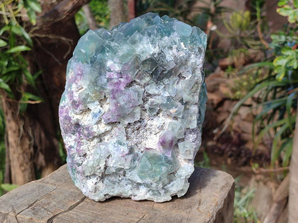 Natural Large Dark Green Cubic Fluorite Specimen x 1 From Okorusu Mine, Namibia - Toprock Gemstones and Minerals 