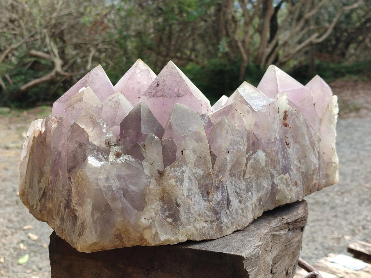 Natural XL Jacaranda Amethyst Cluster x 1 From Mumbwa, Zambia - Toprock Gemstones and Minerals 