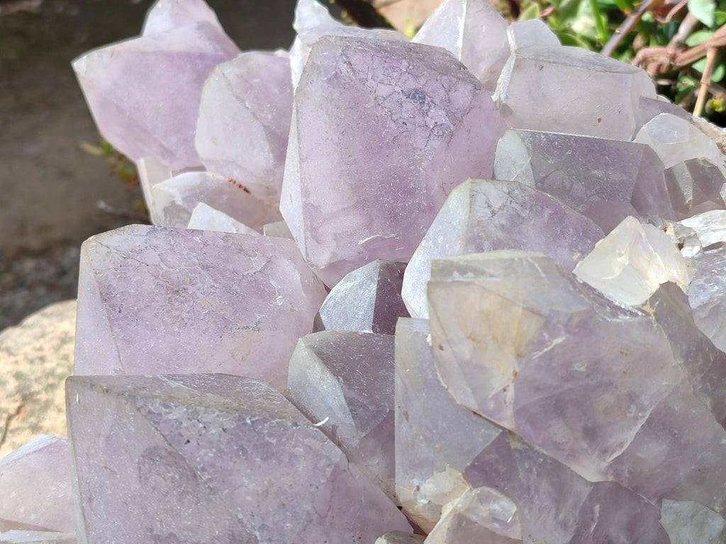 Natural XL Jacaranda Amethyst Cluster x 1 From Mumbwa, Zambia - Toprock Gemstones and Minerals 