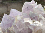 Natural XL Jacaranda Amethyst Cluster x 1 From Mumbwa, Zambia - Toprock Gemstones and Minerals 