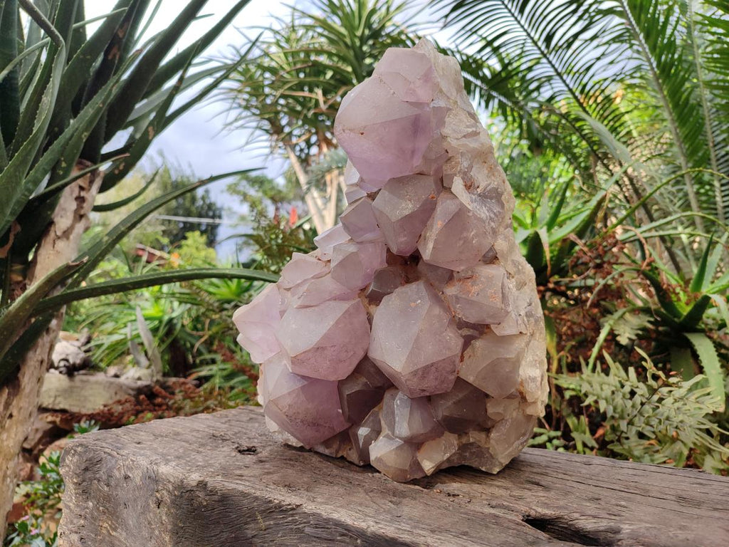 Natural XL Jacaranda Amethyst Cluster x 1 From Mumbwa, Zambia - Toprock Gemstones and Minerals 