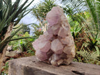Natural XL Jacaranda Amethyst Cluster x 1 From Mumbwa, Zambia - Toprock Gemstones and Minerals 
