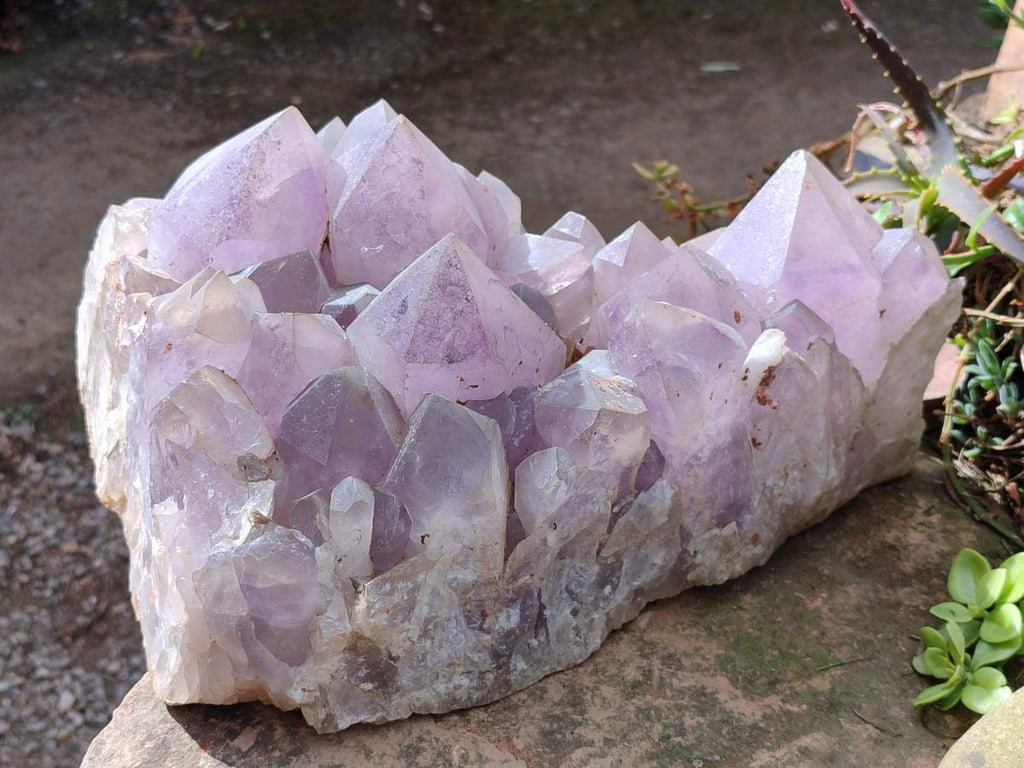 Natural XL Jacaranda Amethyst Cluster x 1 From Mumbwa, Zambia - Toprock Gemstones and Minerals 