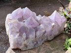 Natural XL Jacaranda Amethyst Cluster x 1 From Mumbwa, Zambia - Toprock Gemstones and Minerals 