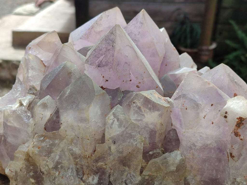Natural XL Jacaranda Amethyst Cluster x 1 From Mumbwa, Zambia - Toprock Gemstones and Minerals 
