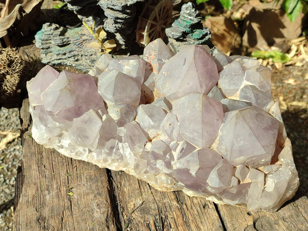 Natural XL Jacaranda Amethyst Cluster x 1 From Mumbwa, Zambia - Toprock Gemstones and Minerals 