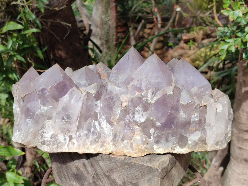 Natural XL Jacaranda Amethyst Cluster x 1 From Mumbwa, Zambia - Toprock Gemstones and Minerals 