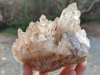 Natural Cabinet Size Pale Citrine Quartz Clusters x 2 From Luena, Congo - Toprock Gemstones and Minerals 
