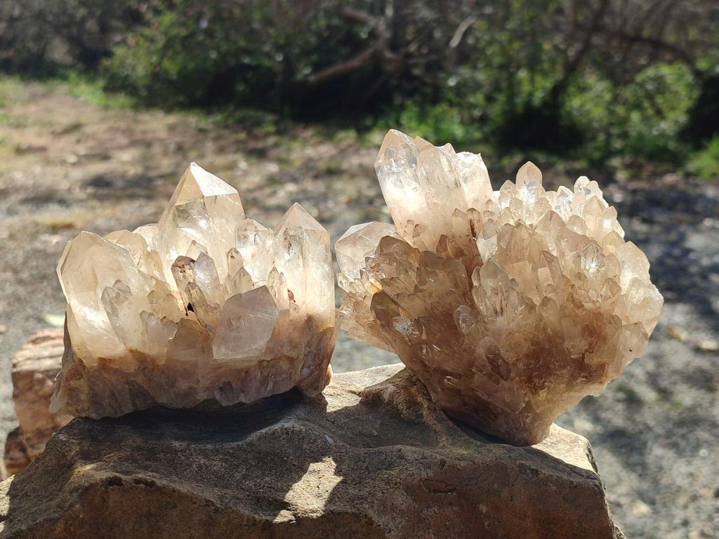 Natural Cabinet Size Pale Citrine Quartz Clusters x 2 From Luena, Congo - Toprock Gemstones and Minerals 