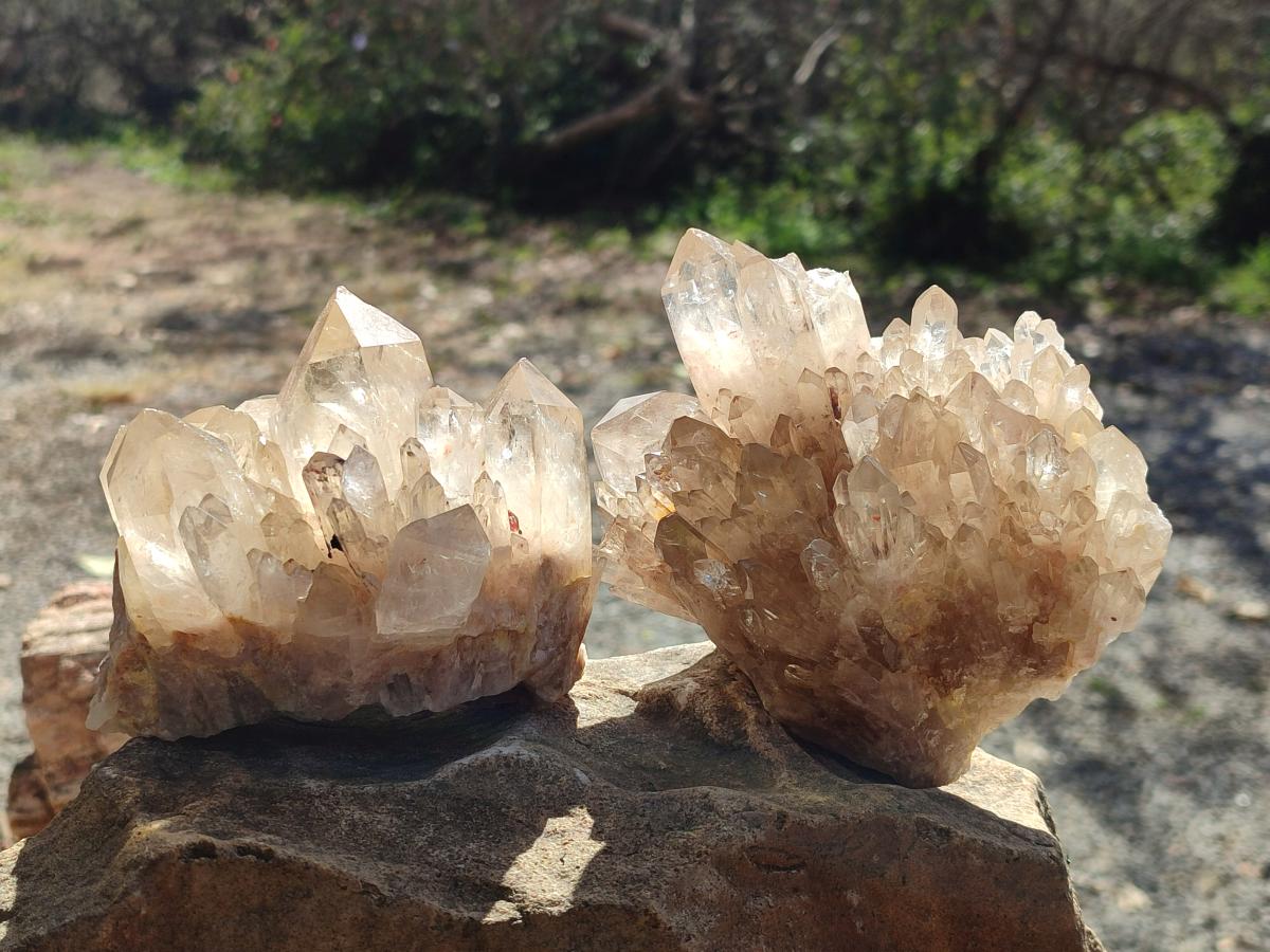 Natural Cabinet Size Pale Citrine Quartz Clusters x 2 From Luena, Congo - Toprock Gemstones and Minerals 