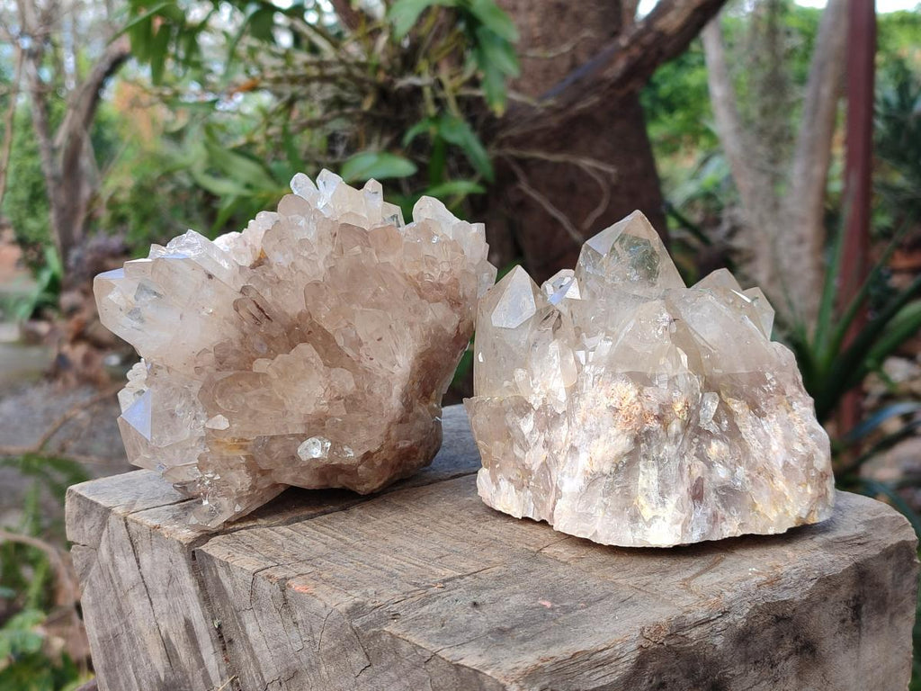 Natural Cabinet Size Pale Citrine Quartz Clusters x 2 From Luena, Congo - Toprock Gemstones and Minerals 