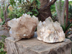 Natural Cabinet Size Pale Citrine Quartz Clusters x 2 From Luena, Congo - Toprock Gemstones and Minerals 