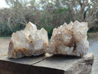 Natural Cabinet Size Pale Citrine Quartz Clusters x 2 From Luena, Congo - Toprock Gemstones and Minerals 