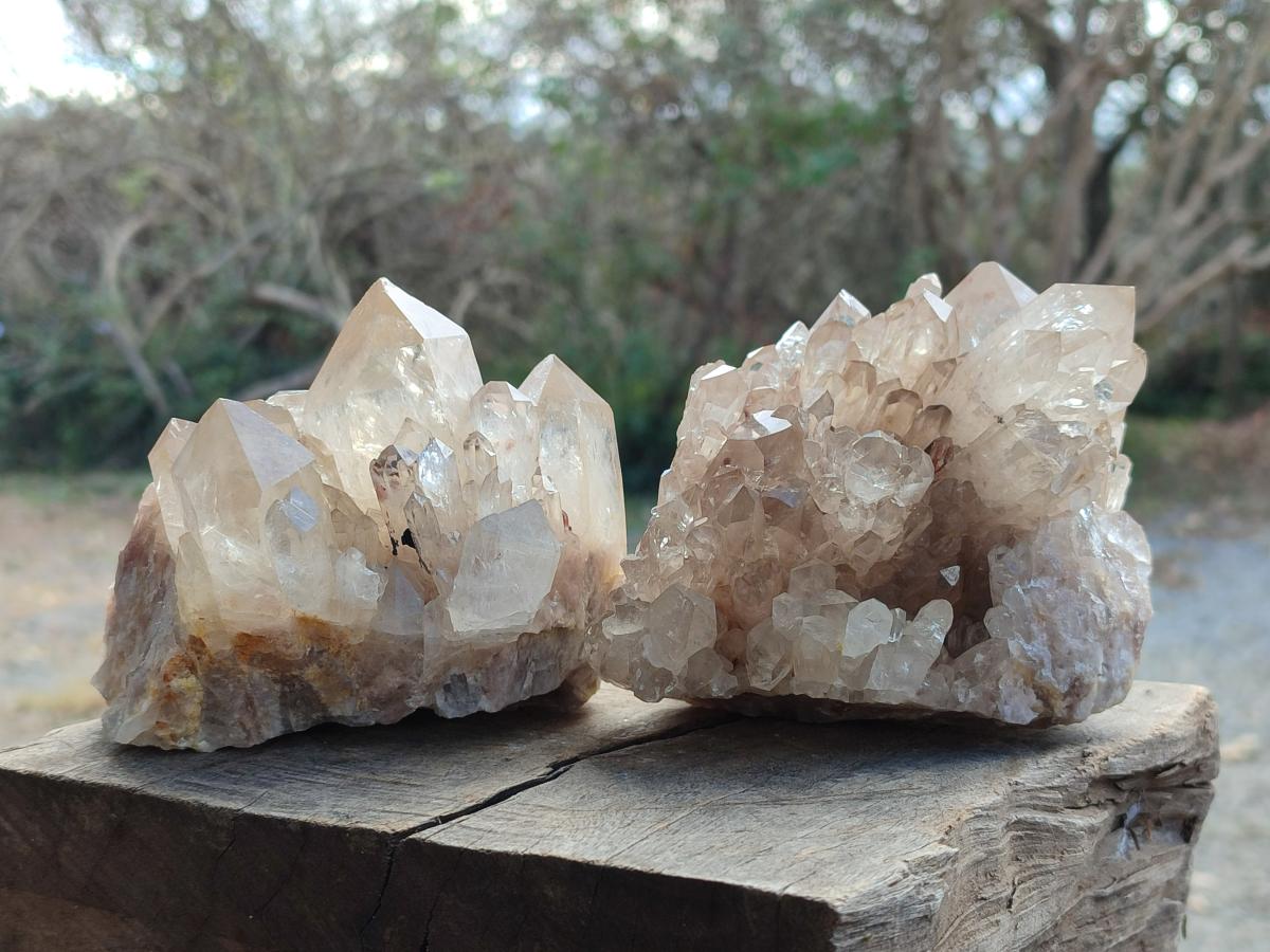 Natural Cabinet Size Pale Citrine Quartz Clusters x 2 From Luena, Congo - Toprock Gemstones and Minerals 