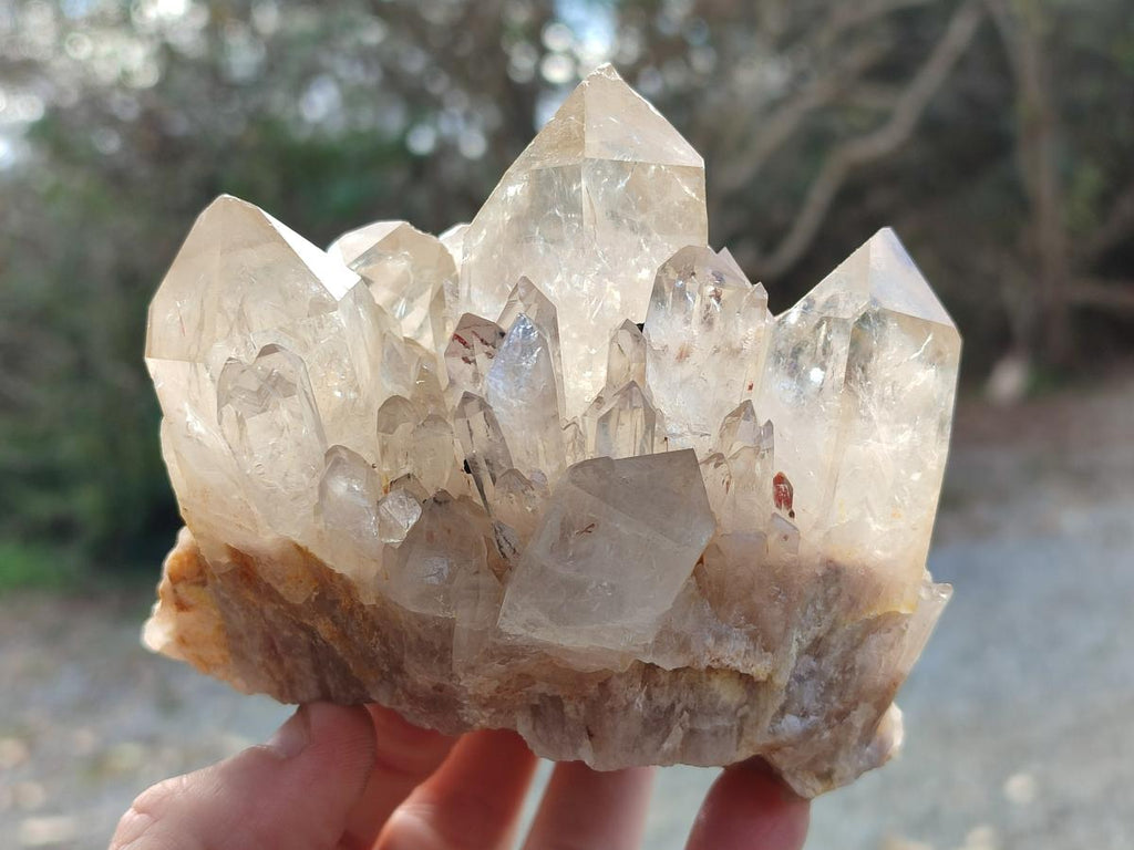 Natural Cabinet Size Pale Citrine Quartz Clusters x 2 From Luena, Congo - Toprock Gemstones and Minerals 