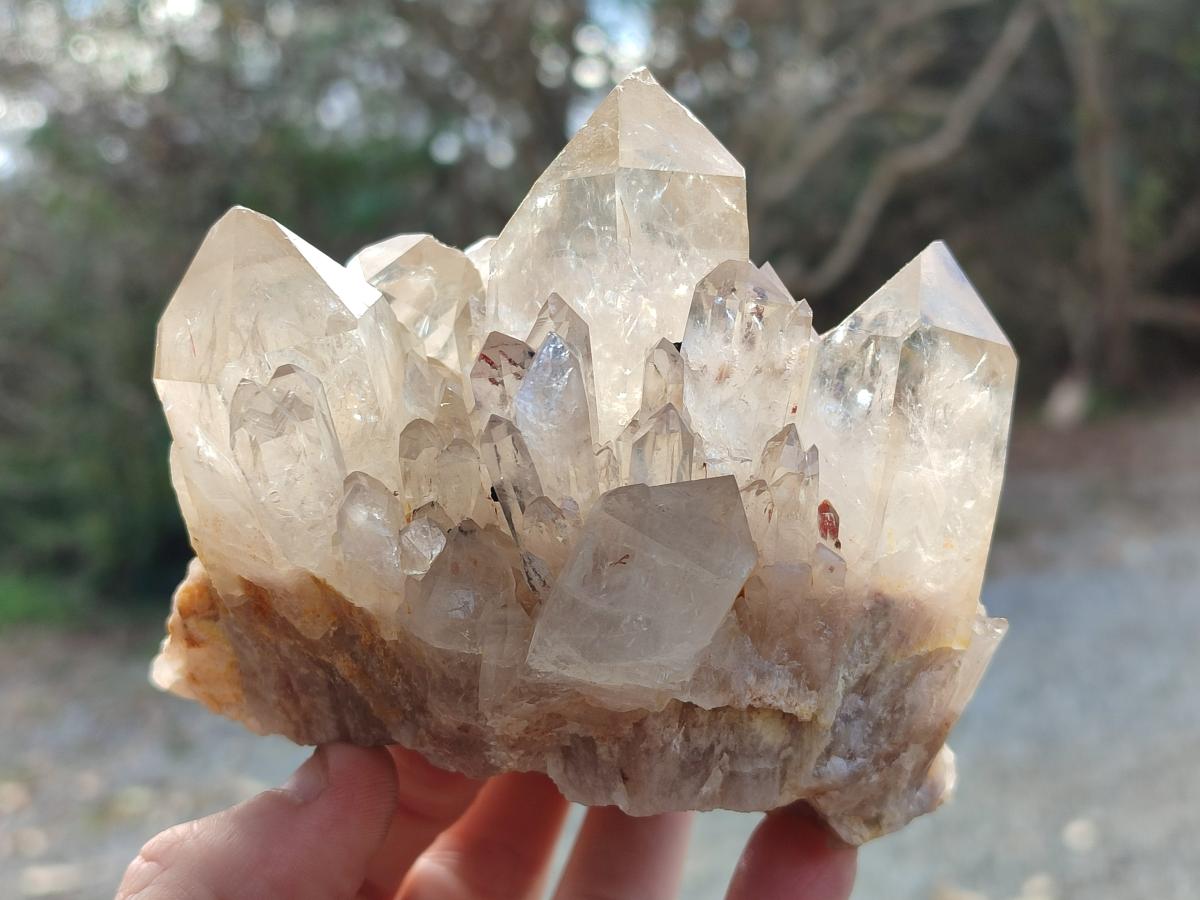Natural Cabinet Size Pale Citrine Quartz Clusters x 2 From Luena, Congo - Toprock Gemstones and Minerals 