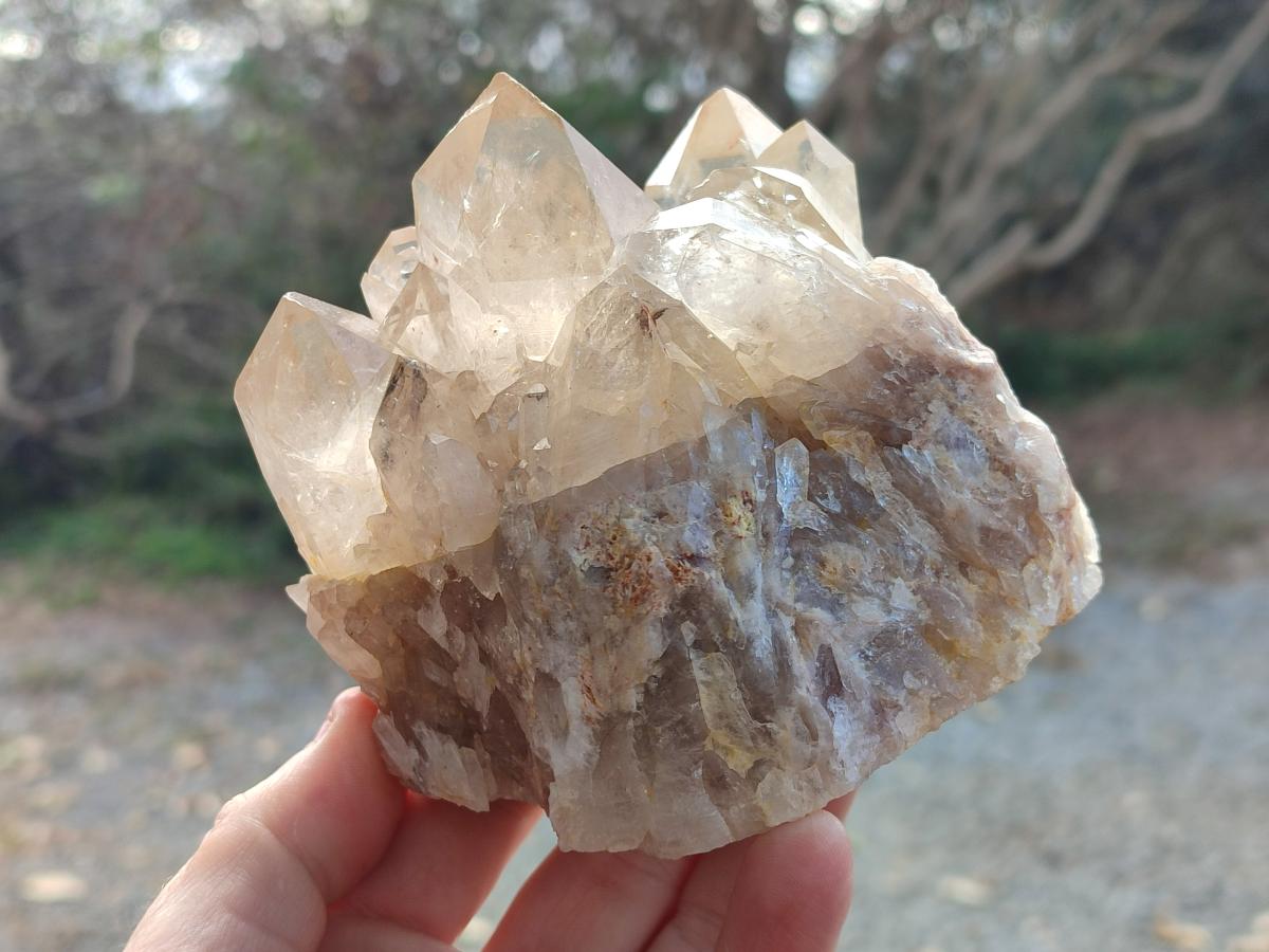 Natural Cabinet Size Pale Citrine Quartz Clusters x 2 From Luena, Congo - Toprock Gemstones and Minerals 