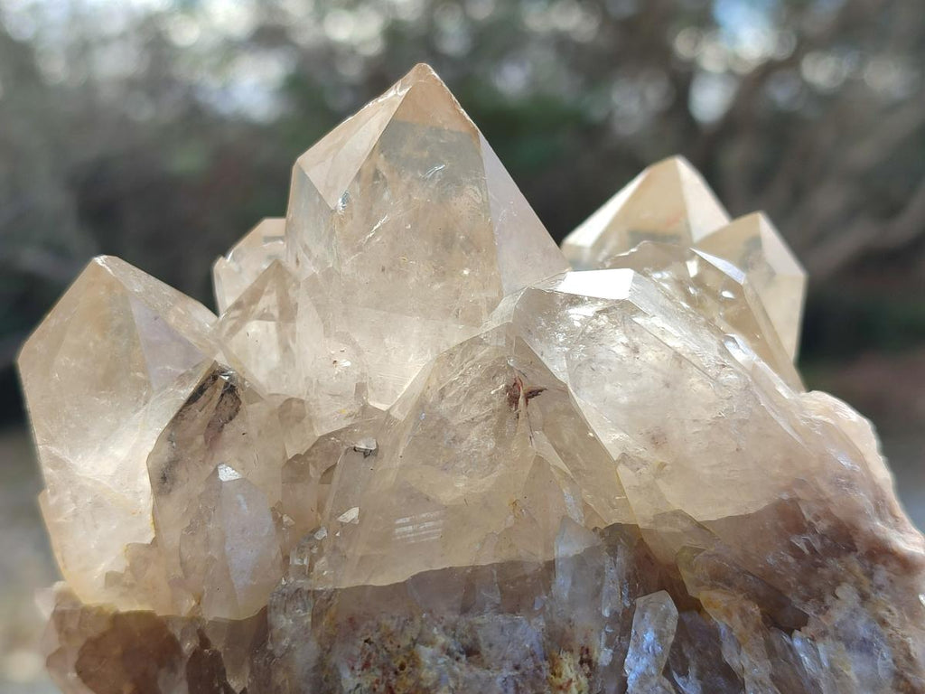 Natural Cabinet Size Pale Citrine Quartz Clusters x 2 From Luena, Congo - Toprock Gemstones and Minerals 
