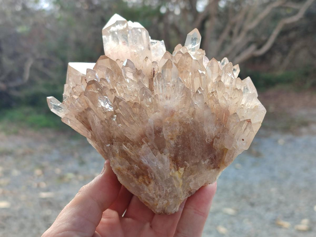Natural Cabinet Size Pale Citrine Quartz Clusters x 2 From Luena, Congo - Toprock Gemstones and Minerals 