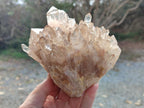 Natural Cabinet Size Pale Citrine Quartz Clusters x 2 From Luena, Congo - Toprock Gemstones and Minerals 
