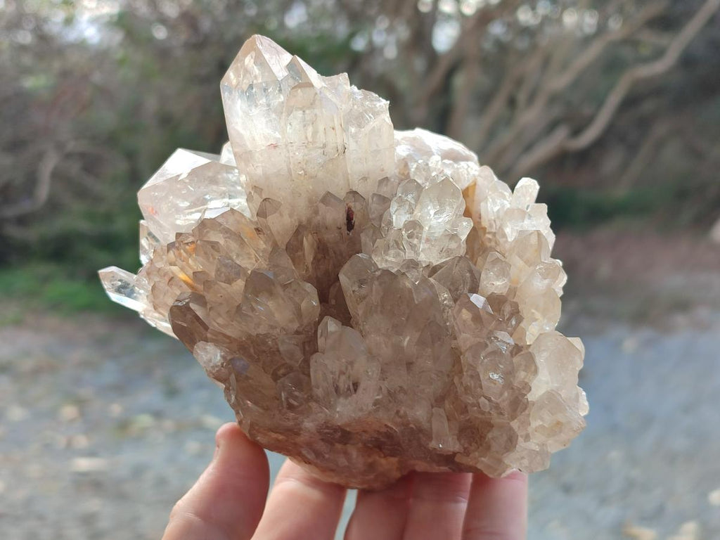 Natural Cabinet Size Pale Citrine Quartz Clusters x 2 From Luena, Congo - Toprock Gemstones and Minerals 
