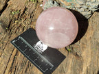 Polished Gemmy Star Rose Quartz Spheres x 3 From Madagascar - Toprock Gemstones and Minerals 