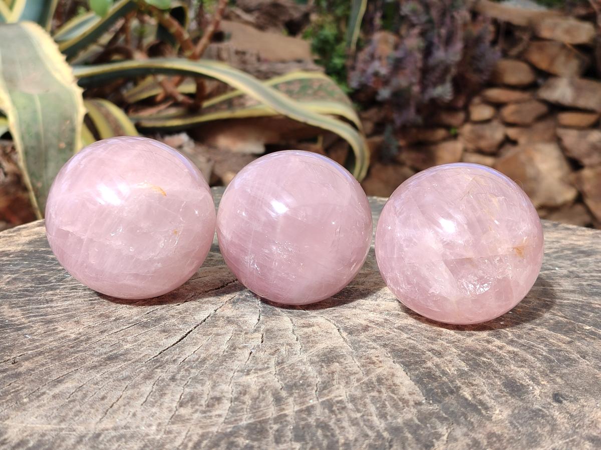 Polished Gemmy Star Rose Quartz Spheres x 3 From Madagascar - Toprock Gemstones and Minerals 