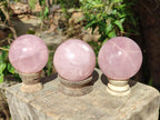 Polished Gemmy Star Rose Quartz Spheres x 3 From Madagascar - Toprock Gemstones and Minerals 