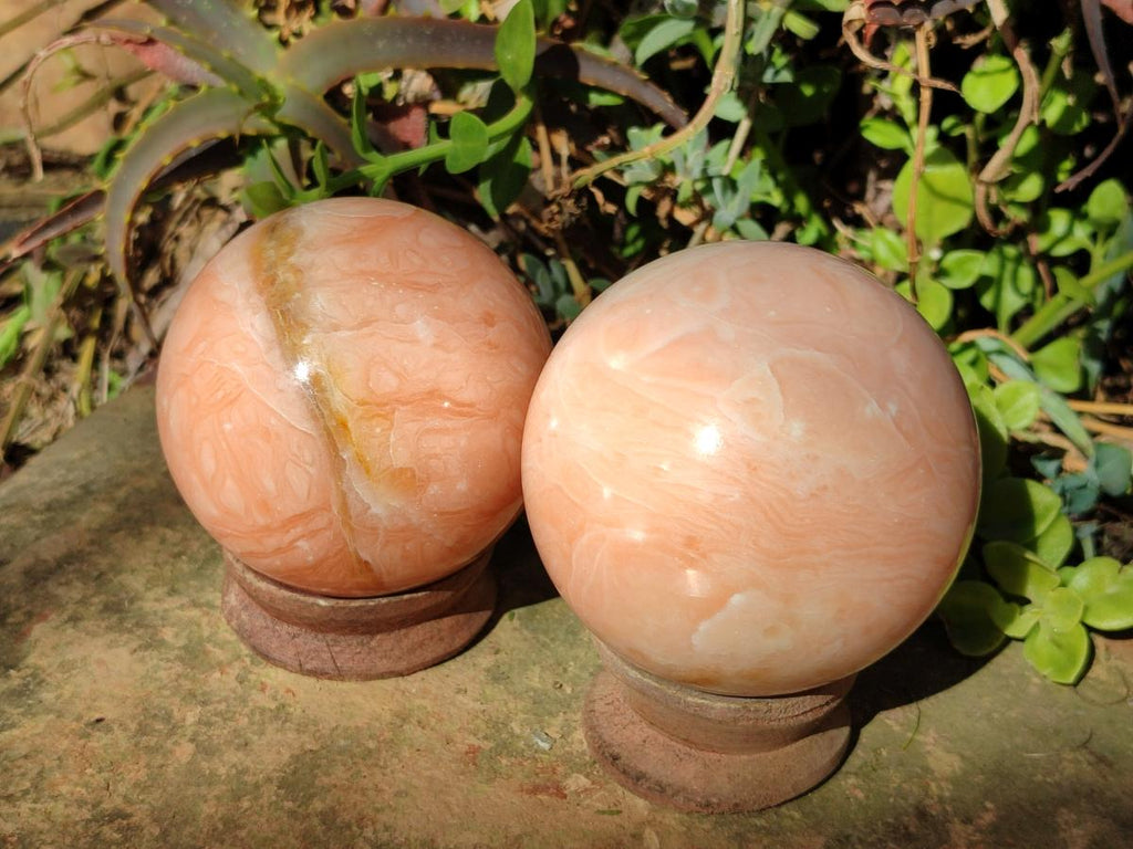 Polished Orange Twist Calcite Spheres x 2 From Madagascar - Toprock Gemstones and Minerals 