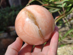 Polished Orange Twist Calcite Spheres x 2 From Madagascar - Toprock Gemstones and Minerals 