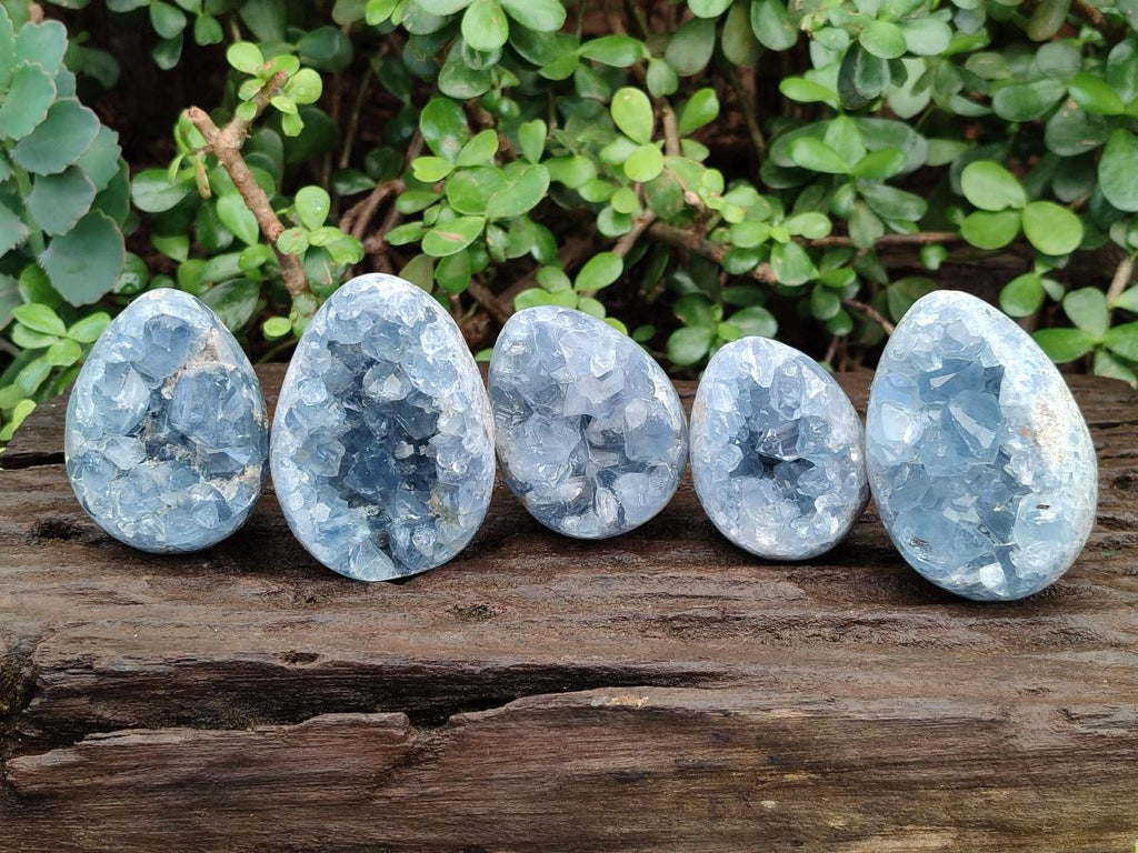 Polished and Natural Blue Celestite Eggs x 5 From Sakoany, Madagascar - Toprock Gemstones and Minerals 