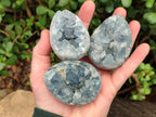 Polished and Natural Blue Celestite Eggs x 5 From Sakoany, Madagascar - Toprock Gemstones and Minerals 