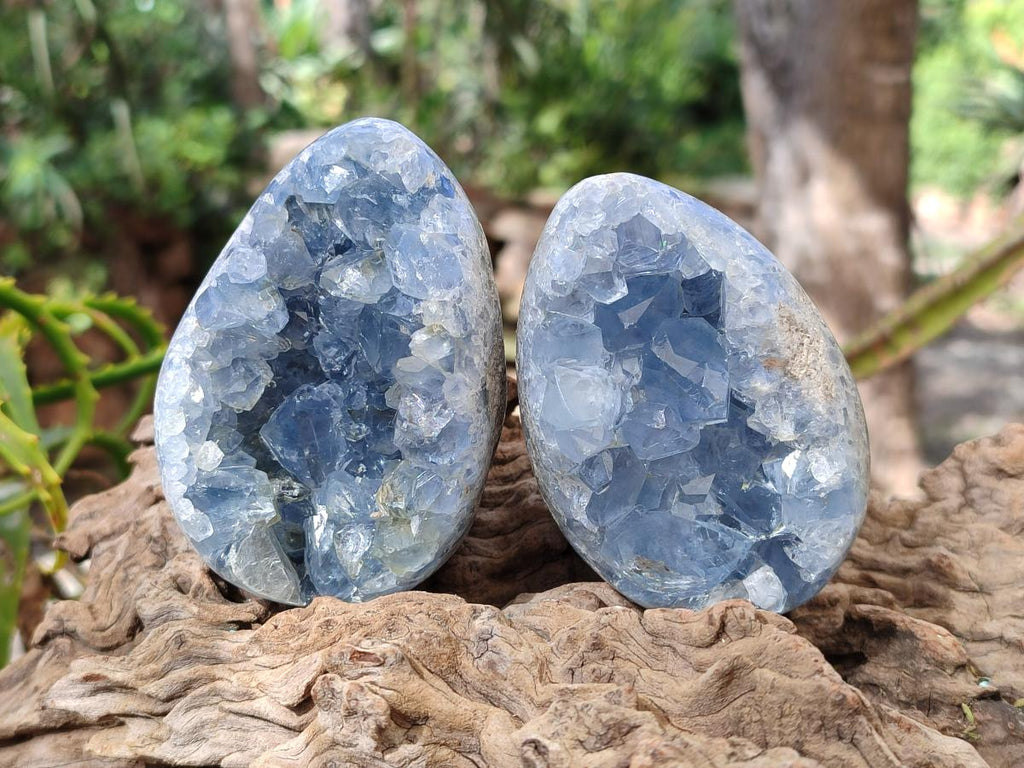 Polished and Natural Blue Celestite Eggs x 5 From Sakoany, Madagascar - Toprock Gemstones and Minerals 