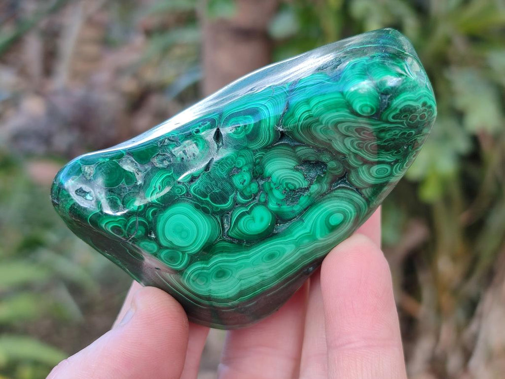 Polished Flower Banded Malachite Free Forms x 6 From Congo - Toprock Gemstones and Minerals 
