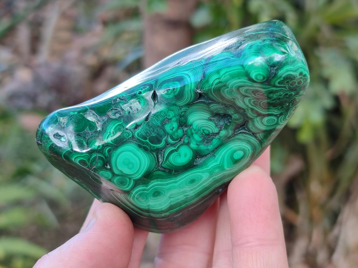 Polished Flower Banded Malachite Free Forms x 6 From Congo - Toprock Gemstones and Minerals 