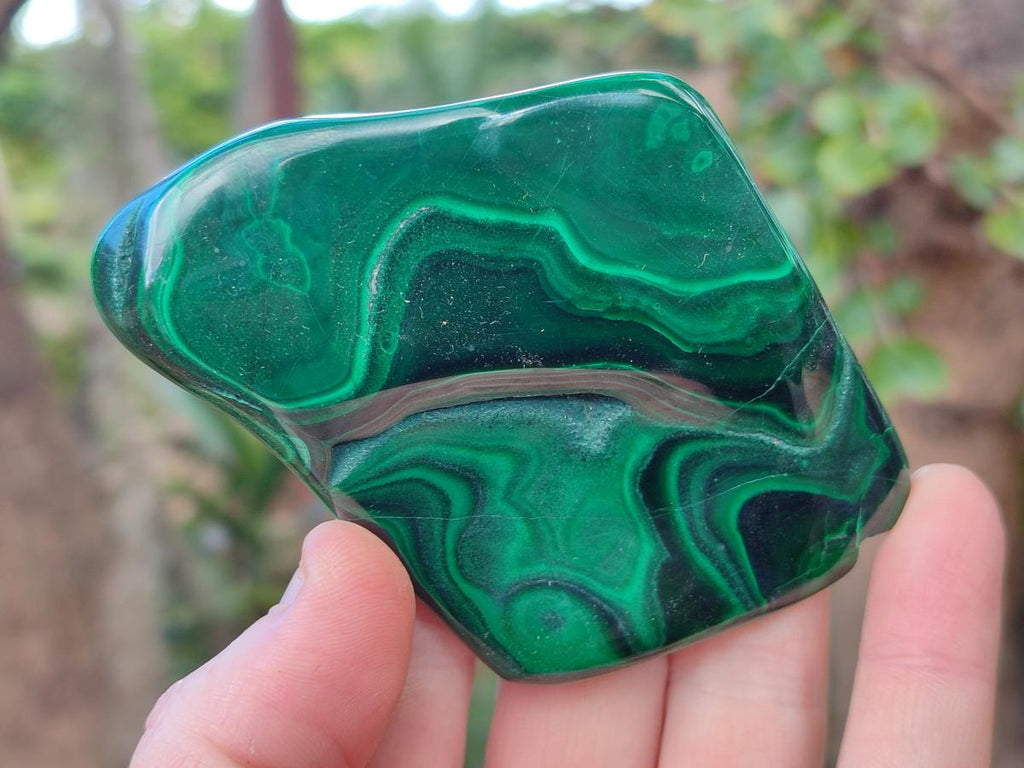 Polished Flower Banded Malachite Free Forms x 6 From Congo - Toprock Gemstones and Minerals 