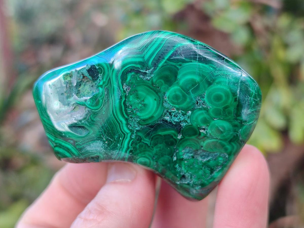 Polished Flower Banded Malachite Free Forms x 6 From Congo - Toprock Gemstones and Minerals 
