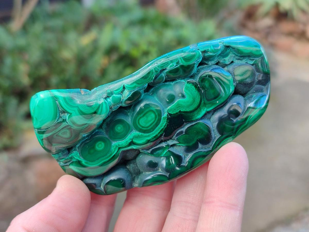 Polished Flower Banded Malachite Free Forms x 6 From Congo - Toprock Gemstones and Minerals 