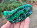Polished Flower Banded Malachite Free Forms x 6 From Congo - Toprock Gemstones and Minerals 