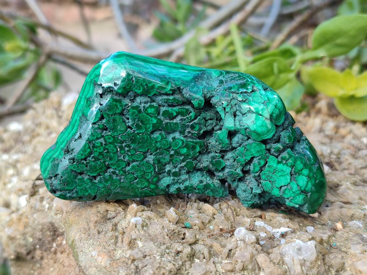 Polished Flower Banded Malachite Free Forms x 6 From Congo - Toprock Gemstones and Minerals 