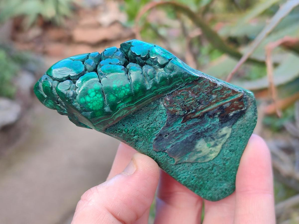 Polished Flower Banded Malachite Free Forms x 6 From Congo - Toprock Gemstones and Minerals 