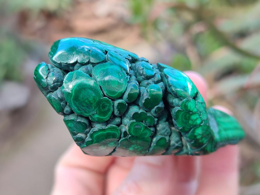 Polished Flower Banded Malachite Free Forms x 6 From Congo - Toprock Gemstones and Minerals 