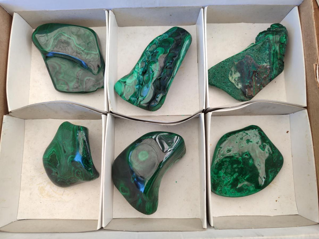 Polished Flower Banded Malachite Free Forms x 6 From Congo - Toprock Gemstones and Minerals 