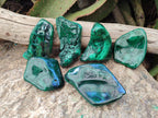 Polished Flower Banded Malachite Free Forms x 6 From Congo - Toprock Gemstones and Minerals 