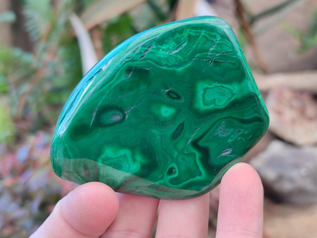 Polished Flower Banded Malachite Free Forms x 6 From Congo - Toprock Gemstones and Minerals 