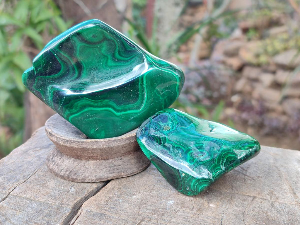 Polished Flower Banded Malachite Free Forms x 6 From Congo - Toprock Gemstones and Minerals 