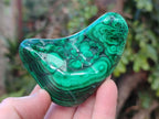 Polished Flower Banded Malachite Free Forms x 6 From Congo - Toprock Gemstones and Minerals 