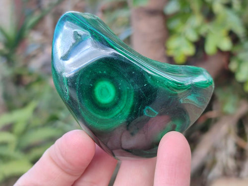 Polished Flower Banded Malachite Free Forms x 6 From Congo - Toprock Gemstones and Minerals 