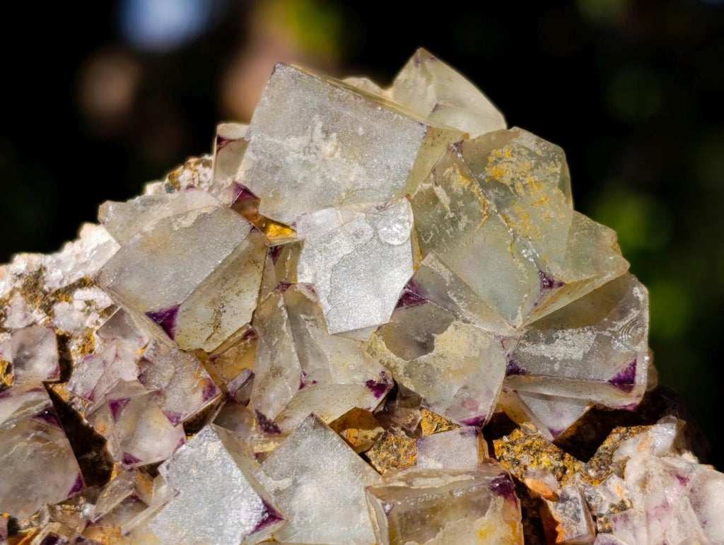 Natural Cubic Fluorite Specimens with Sprays of Acicular Quartz x 12 From Khorixas, Namibia - Toprock Gemstones and Minerals 